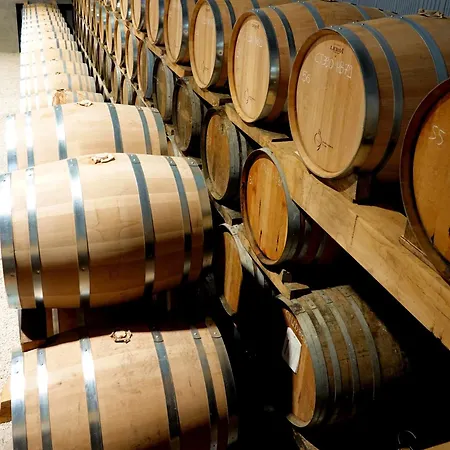 Domaine De Chante-oiseau - 28 Pers 度假居 Theil-Rabier